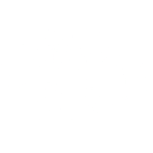 McScallywag
